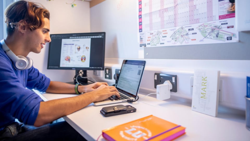 A student sitting at a desk using a laptop